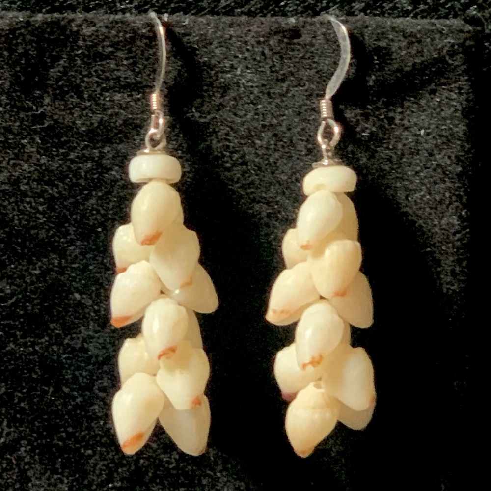 SOLD! Big Island Momi Shell Earrings 🌺🌴🤙🏽